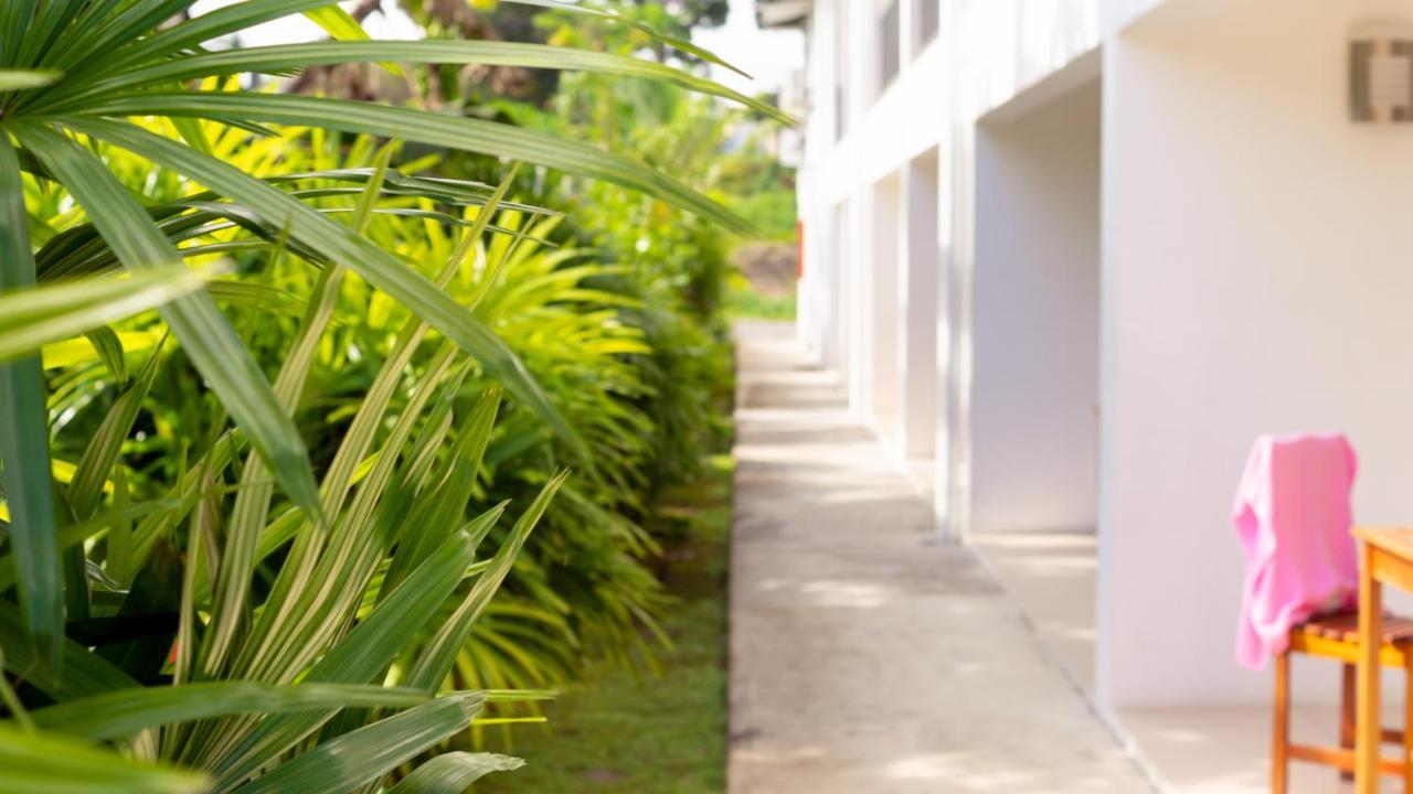 Island Accommodation 68 Extension Street 苏瓦 外观 照片